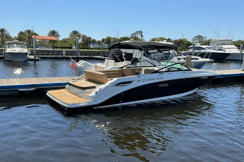 Slide: The Image of Sea Ray 250SDX 2019 - 3