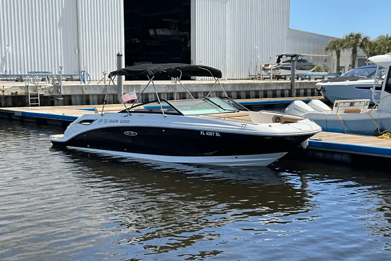 Slide: The Image of Sea Ray 250SDX 2019 - 4