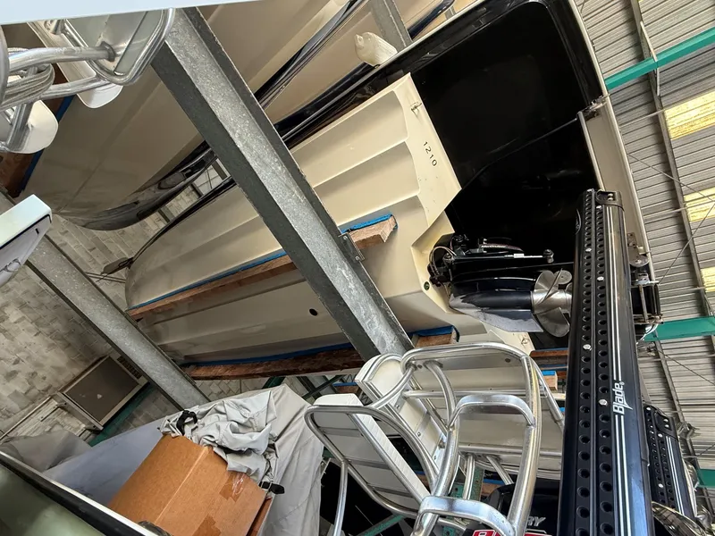 Slide: The Image of Sea Ray 250SDX 2019 - 23
