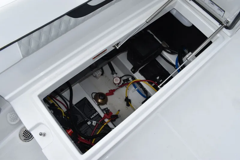 Slide: The Image of Blackfin 222CC 2024 - 31