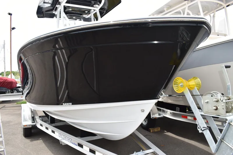 Slide: The Image of Blackfin 222CC 2024 - 79