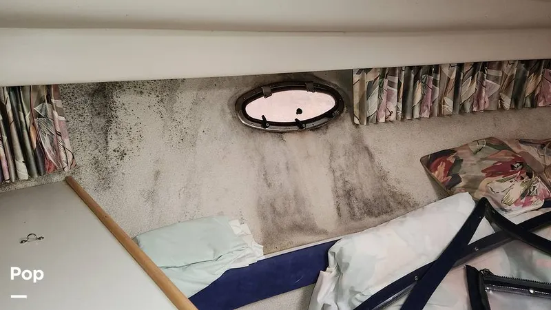 Slide: The Image of Carver 355 1995 - 13498366