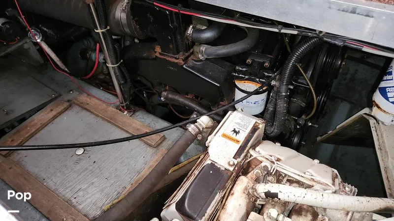 Slide: The Image of Carver Yachts 355 1995 - 13498359