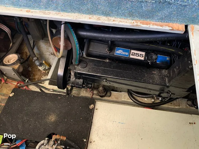 Slide: The Image of Tollycraft 34 Tri-Cabin 1981 - 8995299