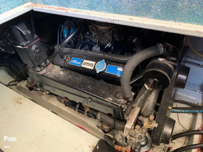 Slide: The Image of Tollycraft 34 Tri-Cabin 1981 - 8995311