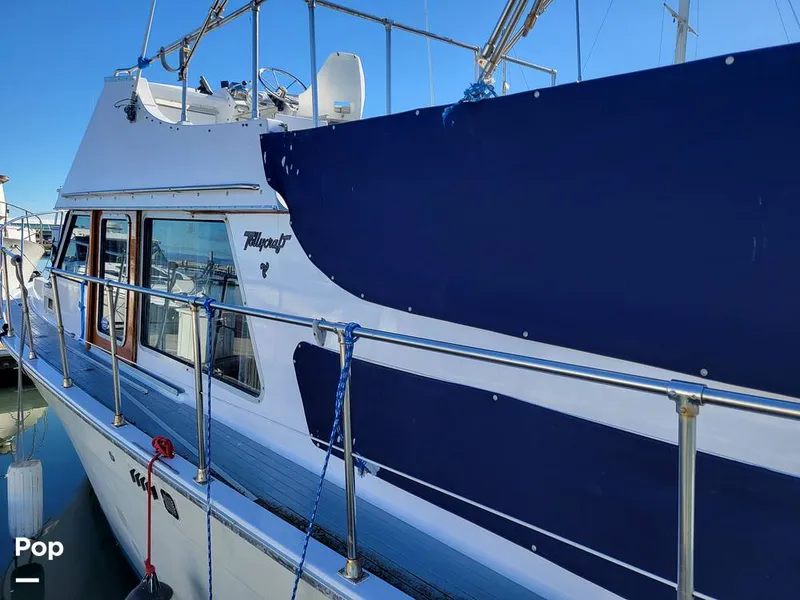 Slide: The Image of Tollycraft 34 Tri-Cabin 1981 - 16145144