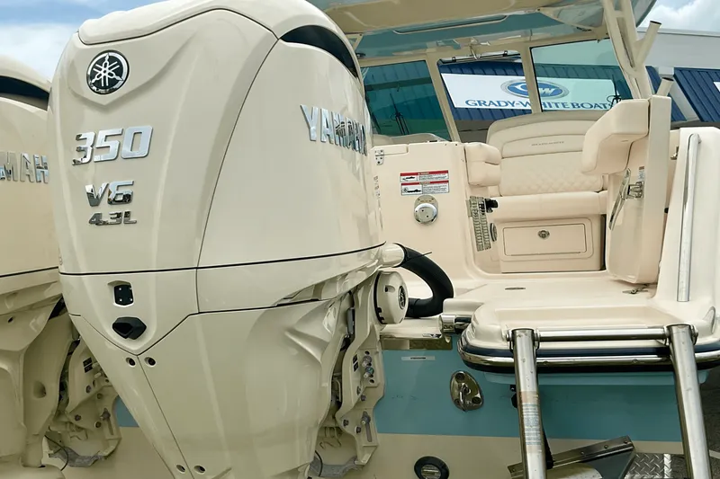 Slide: The Image of Grady-White Freedom 325 2025 - 6