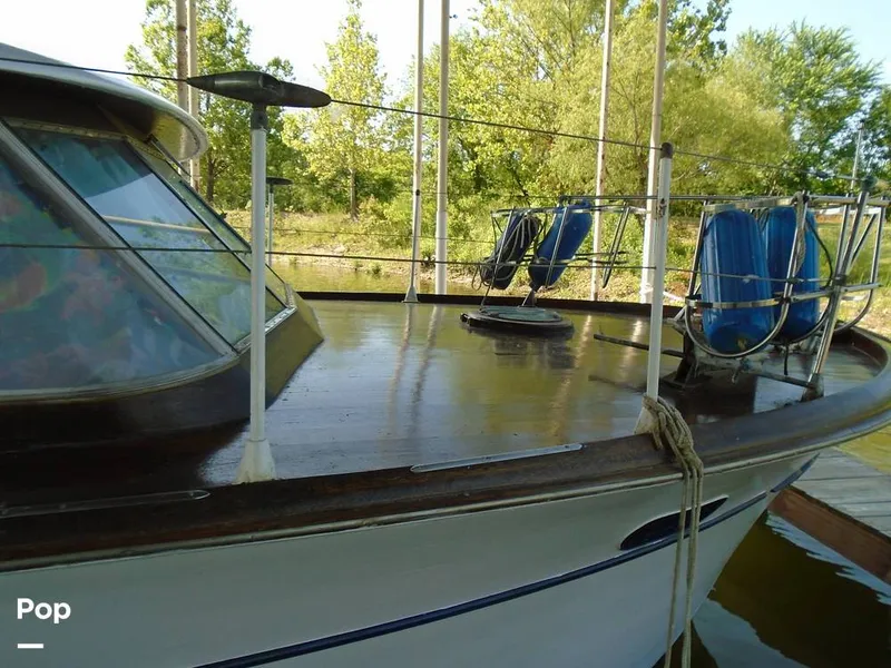 Slide: The Image of Bullnose - 8989947