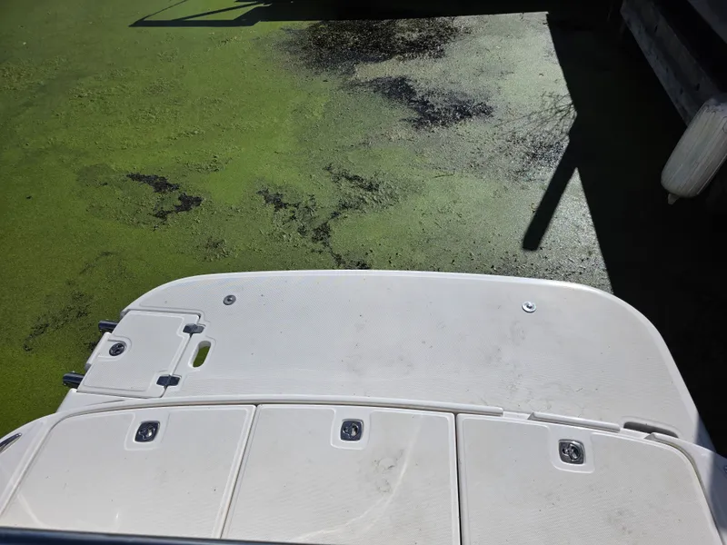 Slide: The Image of Regal 2665 COMMODORE 2008 - 9