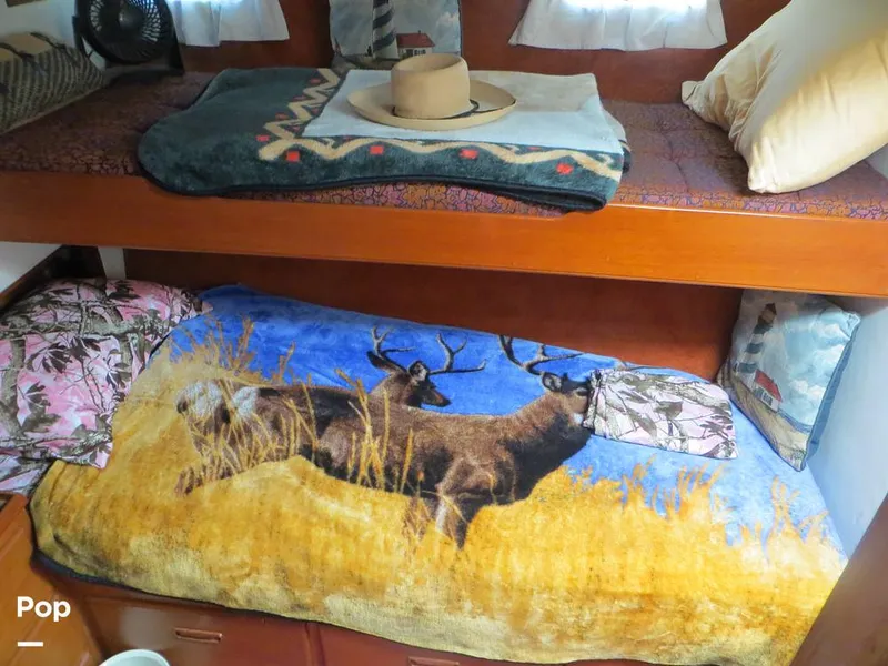 Slide: The Image of Mid-stateroom - 9066226