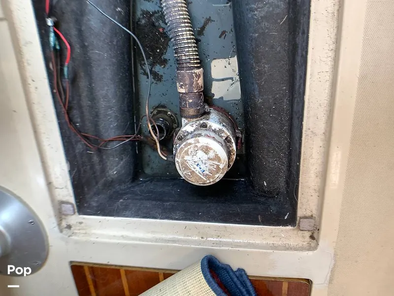 Slide: The Image of O'Day 29 1982 - 9189924