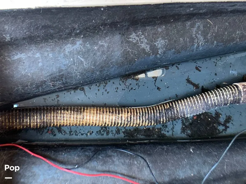 Slide: The Image of O'Day 29 1982 - 9189925