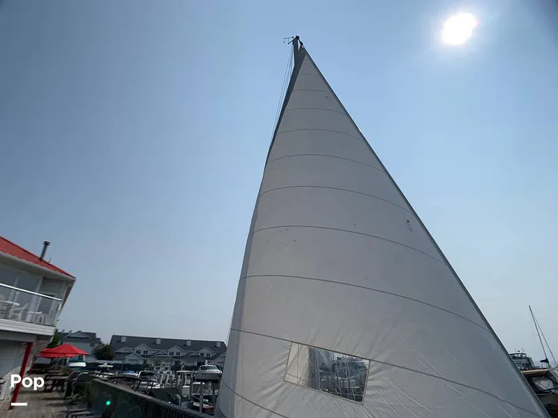 Slide: The Image of O'Day 29 1982 - 9189731