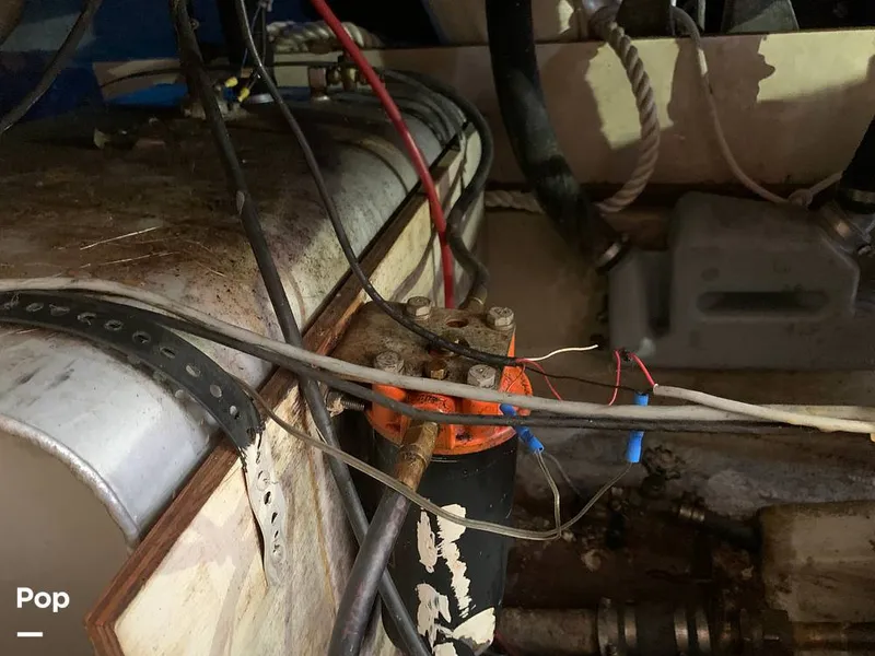 Slide: The Image of O'Day 29 1982 - 9189944