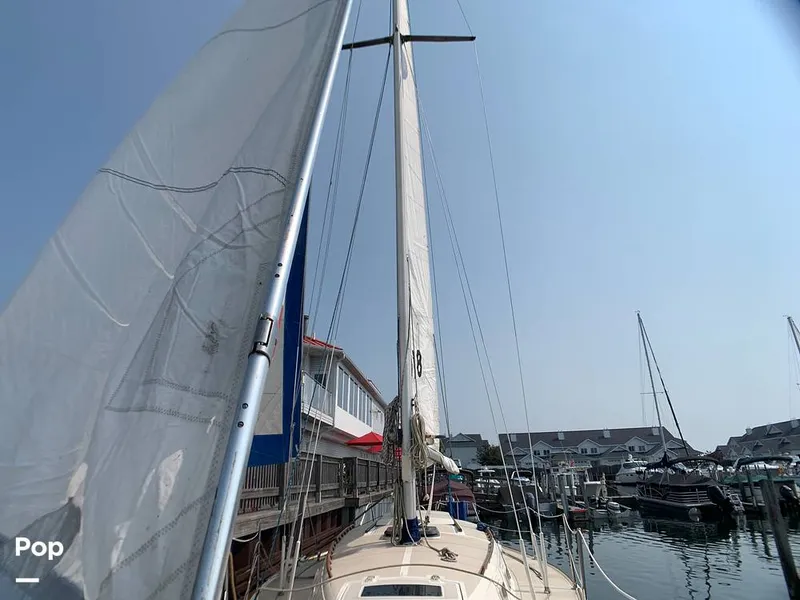 Slide: The Image of O'Day 29 1982 - 9189750