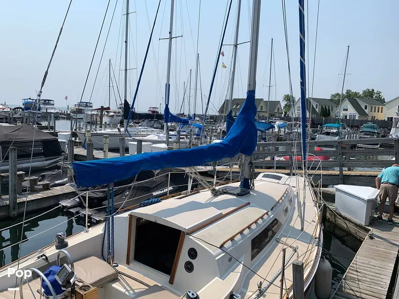 Slide: The Image of O'Day 29 1982 - 9189983