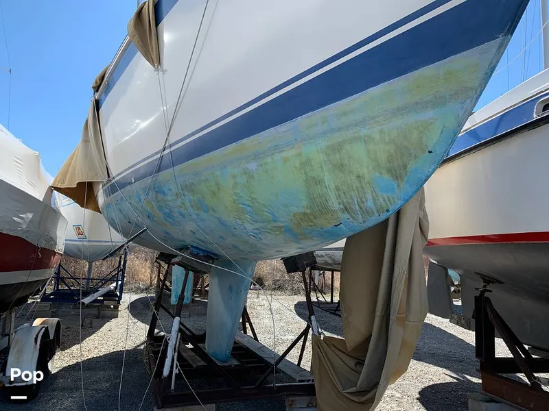 Slide: The Image of O'Day 29 1982 - 10451975