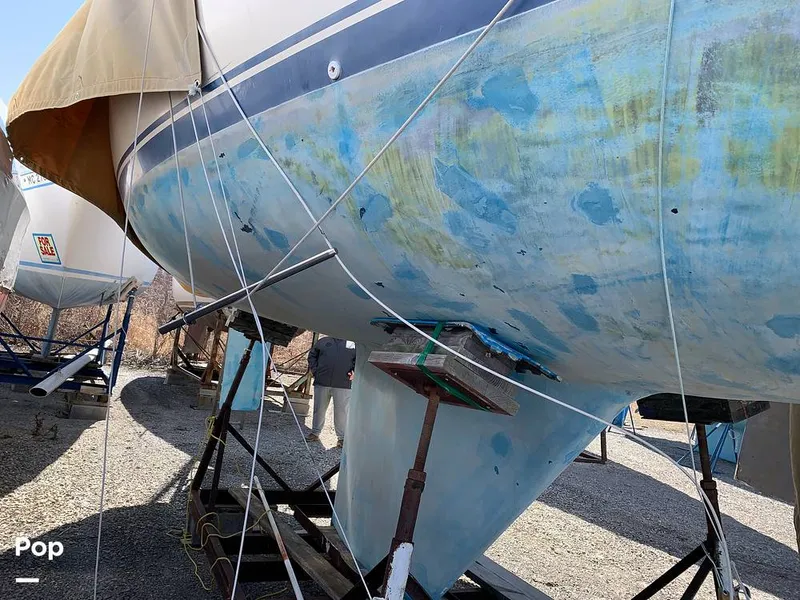 Slide: The Image of O'Day 29 1982 - 10451977