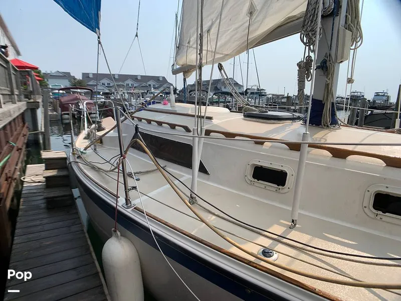 Slide: The Image of O'Day 29 1982 - 9189753