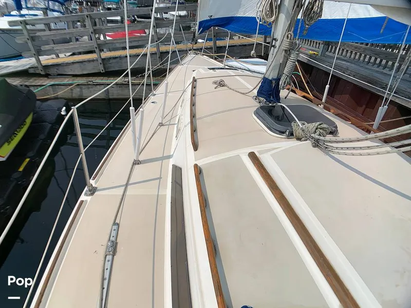 Slide: The Image of O'Day 29 1982 - 9189757