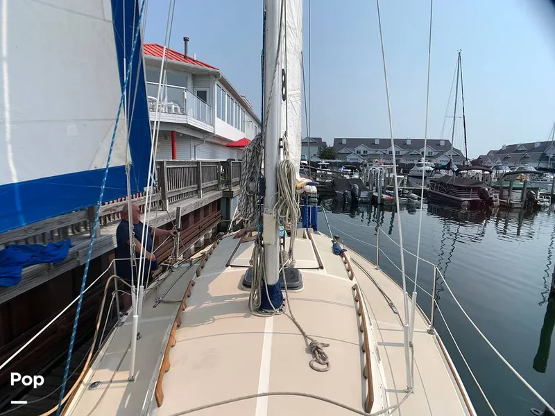 Slide: The Image of O'Day 29 1982 - 9189806