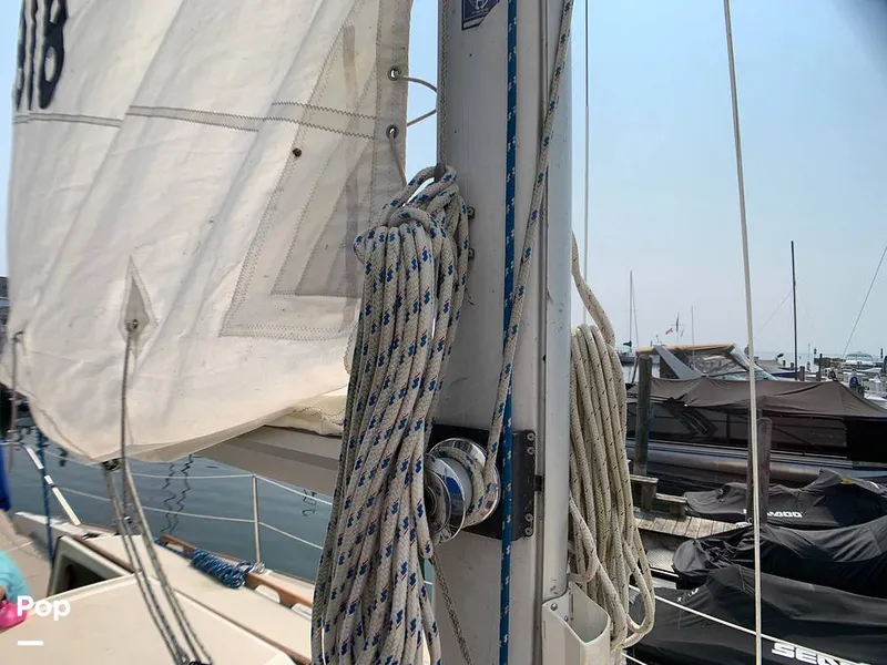 Slide: The Image of O'Day 29 1982 - 9189812