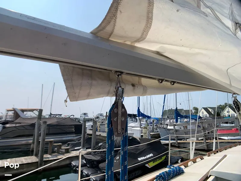 Slide: The Image of O'Day 29 1982 - 9189781