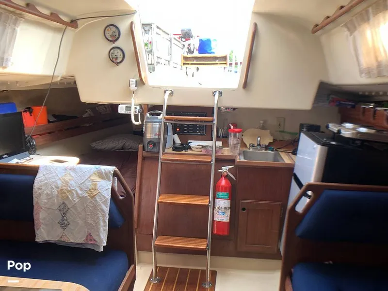 Slide: The Image of O'Day 29 1982 - 9189879