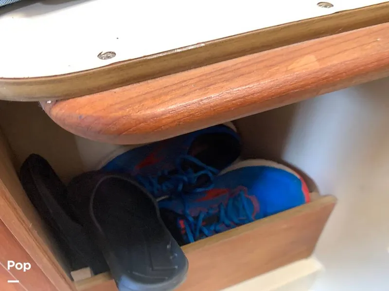 Slide: The Image of O'Day 29 1982 - 9189851