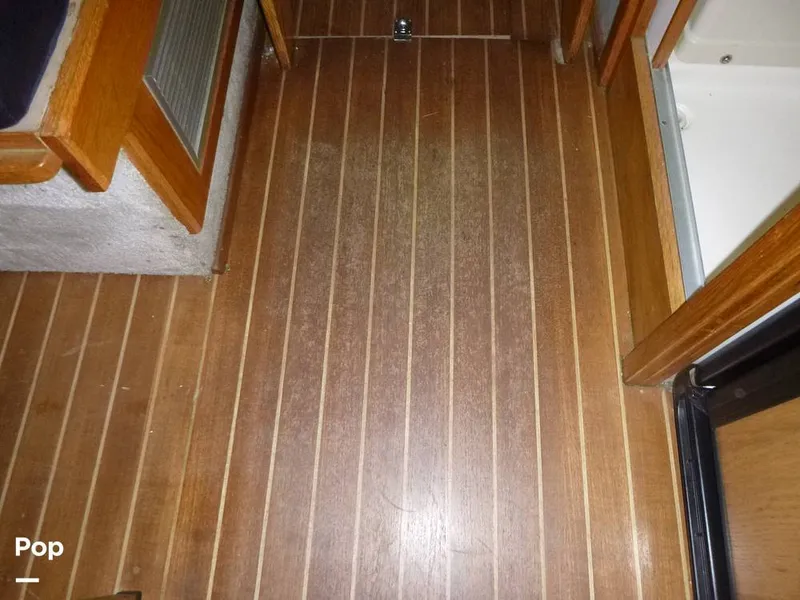 Slide: The Image of Sea Fox 29 1988 - 9107175