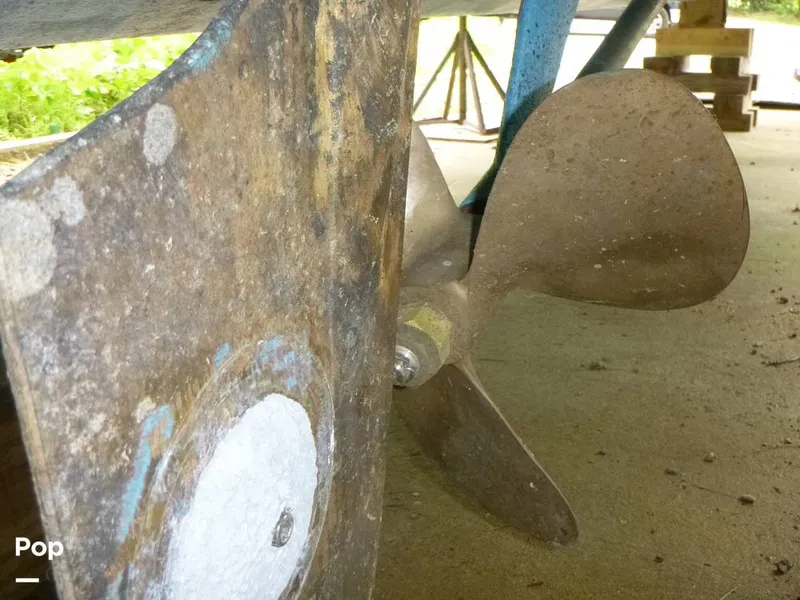 Slide: The Image of Sea Fox 29 1988 - 9106926