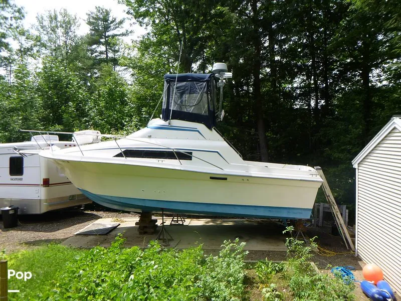 Slide: The Image of Sea Fox 29 1988 - 9107323