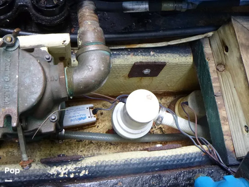 Slide: The Image of Sea Fox 29 1988 - 9107050