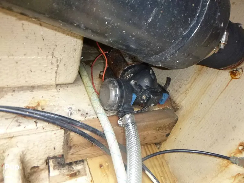 Slide: The Image of Sea Fox 29 1988 - 9107067