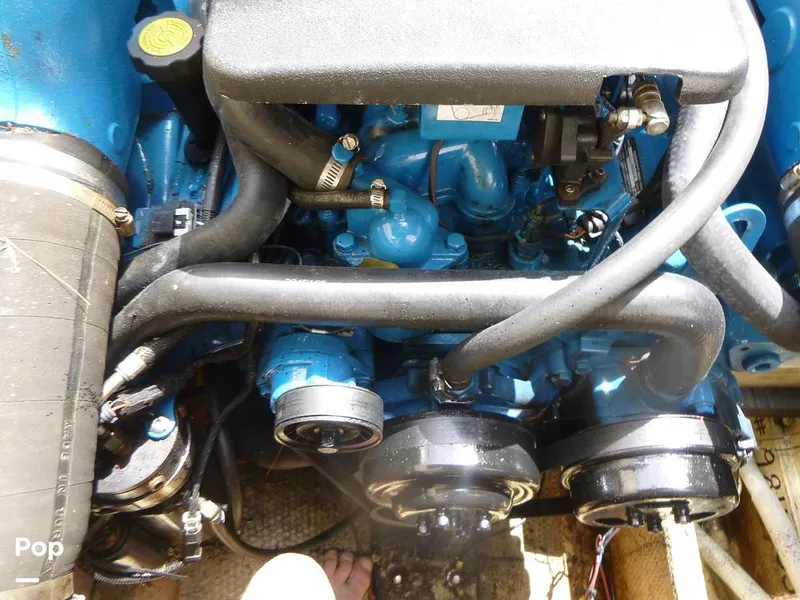 Slide: The Image of Sea Fox 29 1988 - 9107076