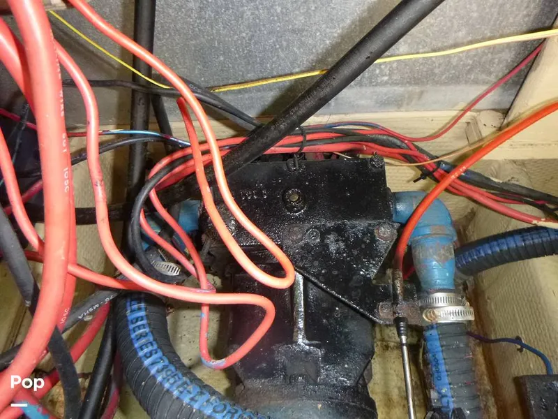 Slide: The Image of Sea Fox 29 1988 - 9107082