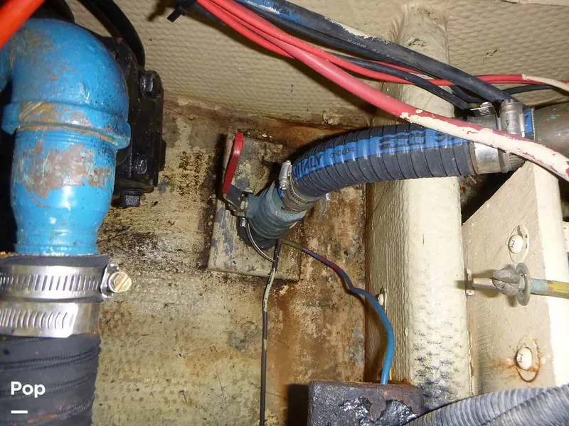 Slide: The Image of Sea Fox 29 1988 - 9107090