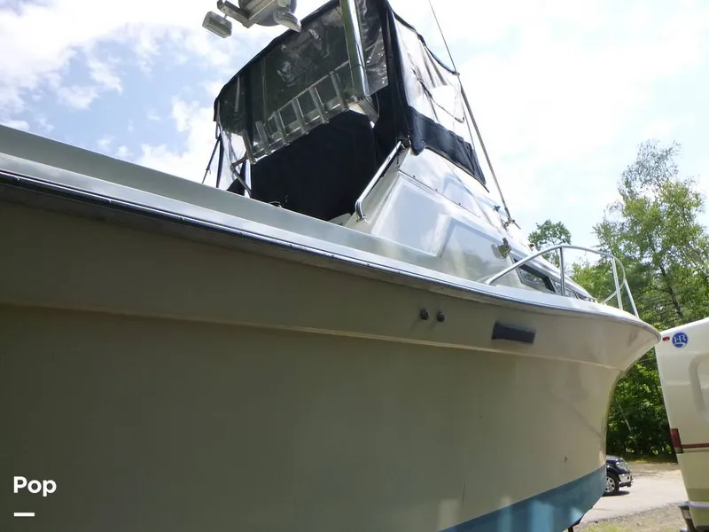 Slide: The Image of Sea Fox 29 1988 - 9107242