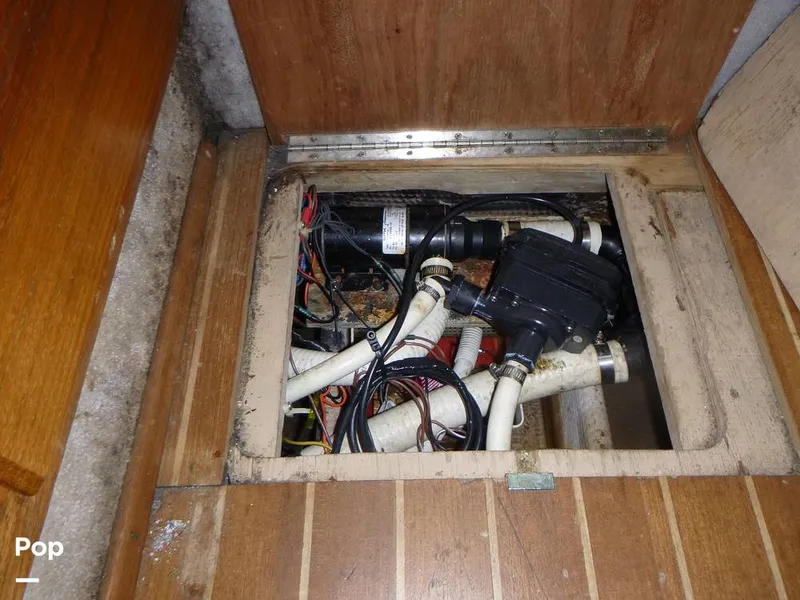 Slide: The Image of Sea Fox 29 1988 - 9107134