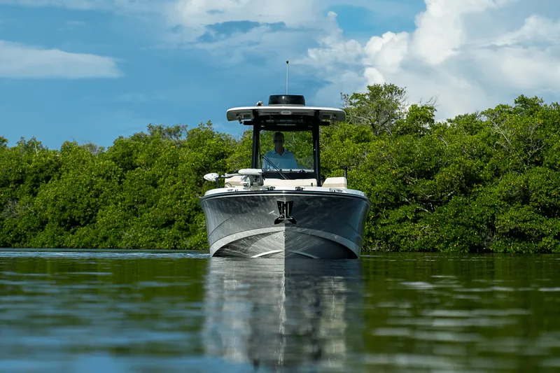 Slide: The Image of Boston Whaler 280 Dauntless 2025 - 21