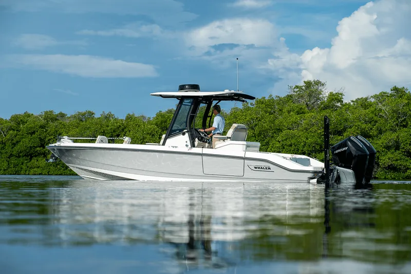 Slide: The Image of Boston Whaler 280 Dauntless 2025 - 25