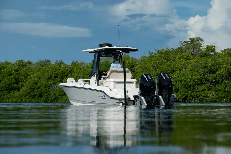 Slide: The Image of Boston Whaler 280 Dauntless 2025 - 27