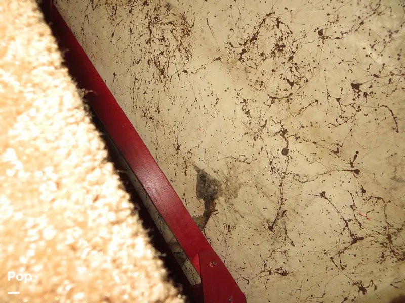 Slide: The Image of Monterey 262 Cruiser 1998 - 9387377