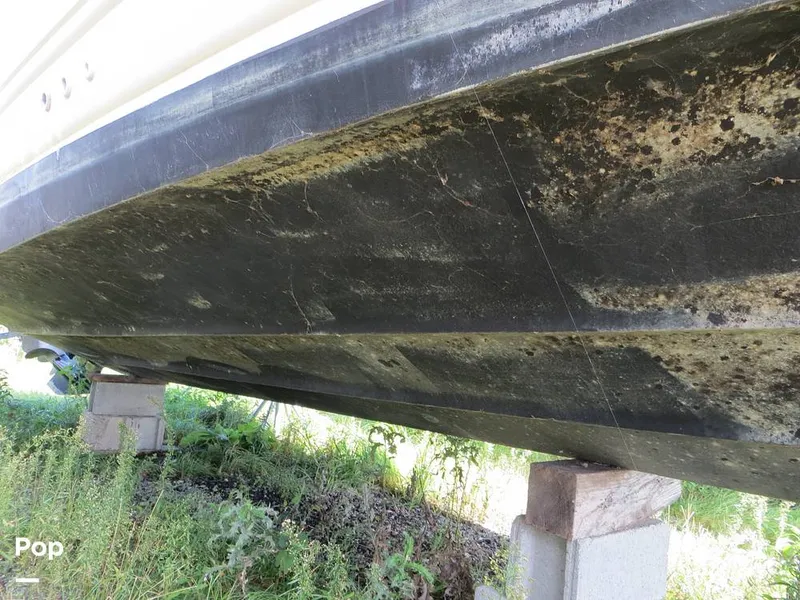 Slide: The Image of Monterey 262 Cruiser 1998 - 9387817