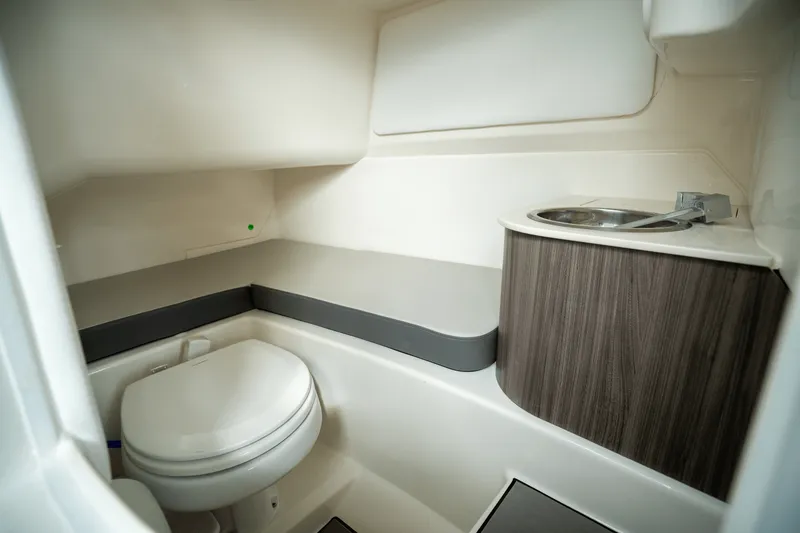 Slide: The Image of Sea Ray SDX 270 Outboard 2025 - 13
