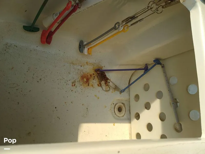 Slide: The Image of Live Well - 9189124