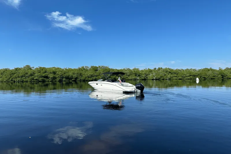 Slide: The Image of Sea Ray 270 SDX-OB 2024 - 8