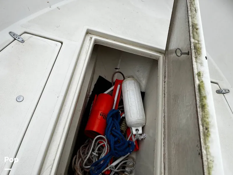 Slide: The Image of Winner 2280 CC 1988 - 13248978