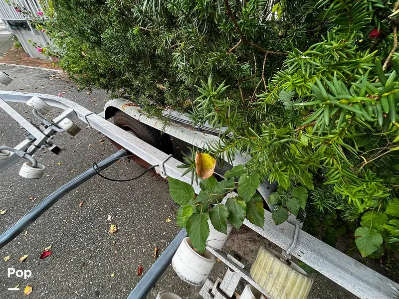 Slide: The Image of Winner 2280 CC 1988 - 13248953