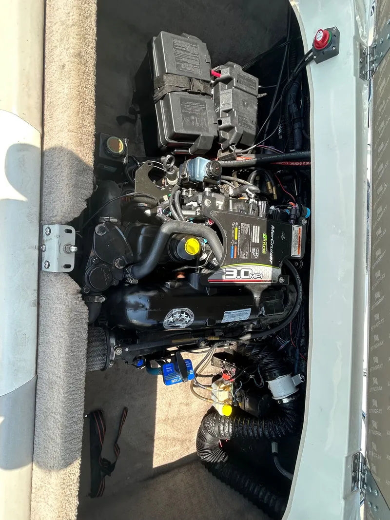 Slide: The Image of Stingray 195rx 2012 - 11